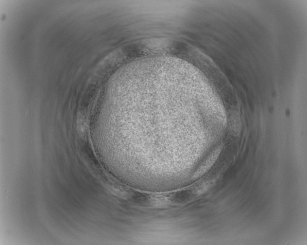 X0000070430701200606302126