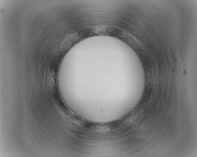 X0000070430702200606302126