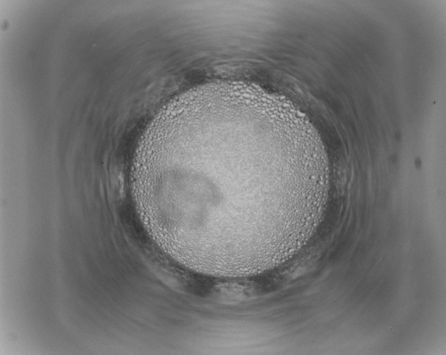 X0000070430703200606302126