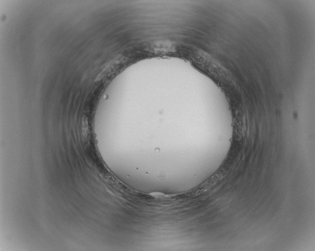 X0000070430704200606302126