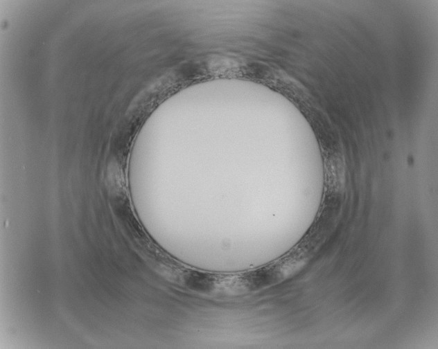 X0000070430705200606302126