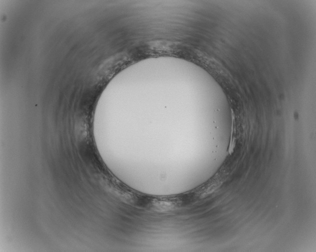 X0000070430706200606302126