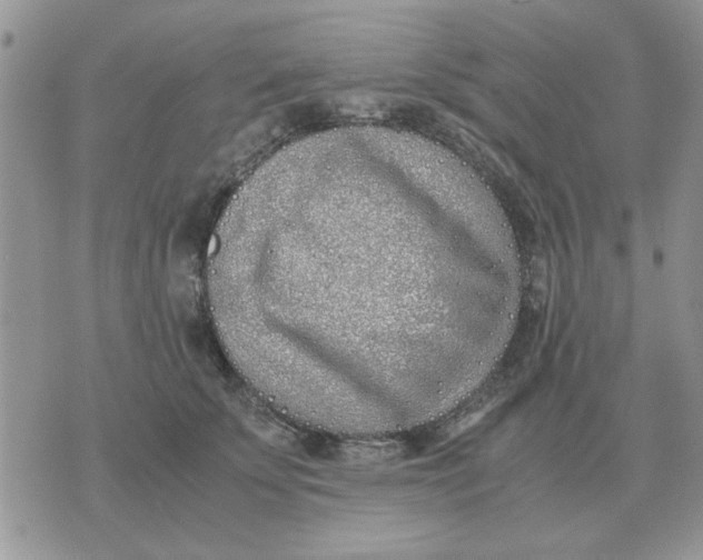 X0000070430707200606302126