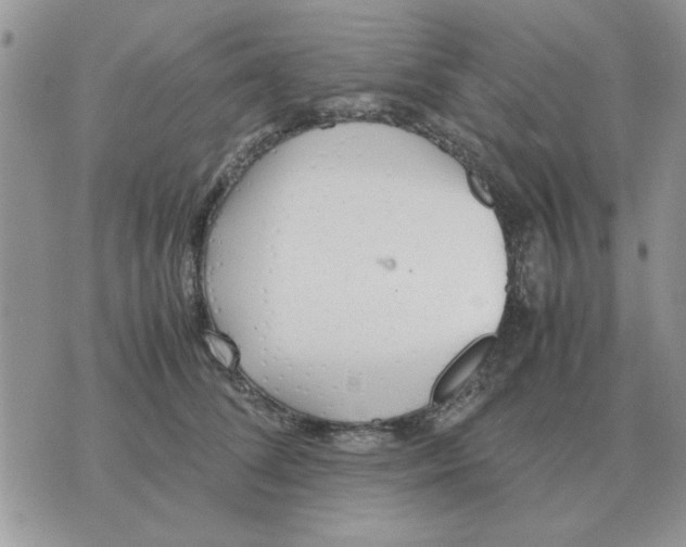 X0000070430708200606302126