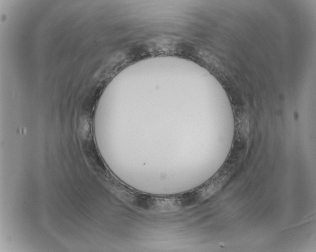 X0000070430709200606302126