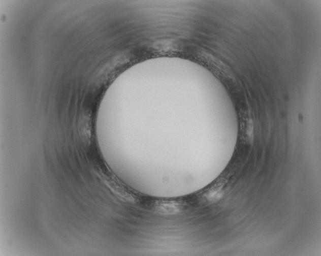 X0000070430710200606302126