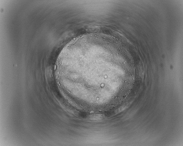 X0000070430711200606302126