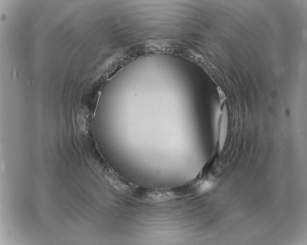 X0000070430712200606302126