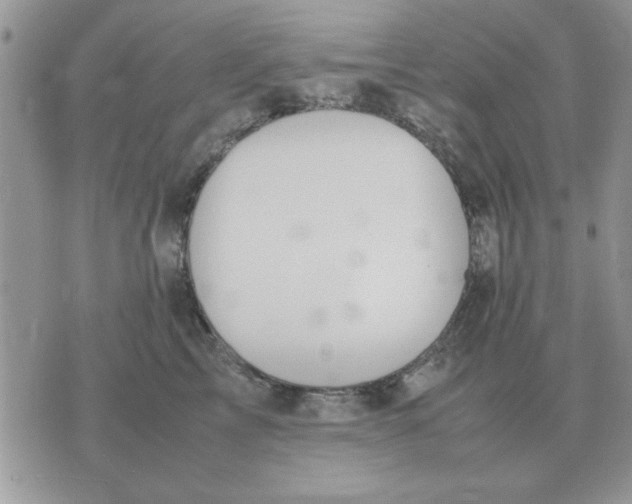 X0000070430713200606302126