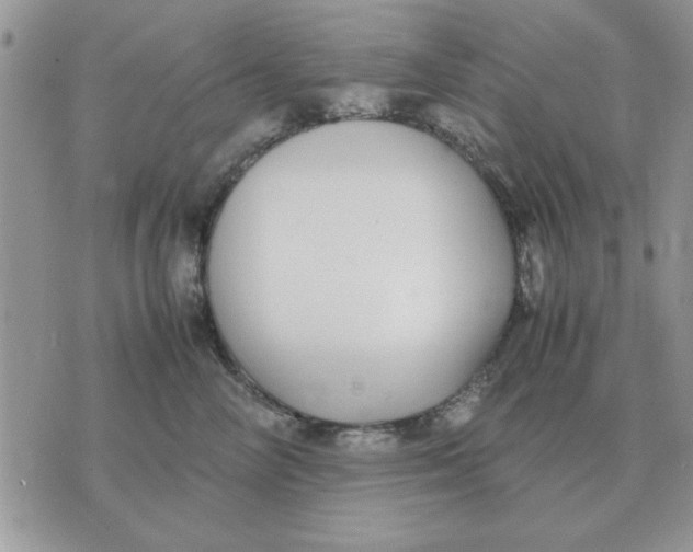 X0000070430714200606302126