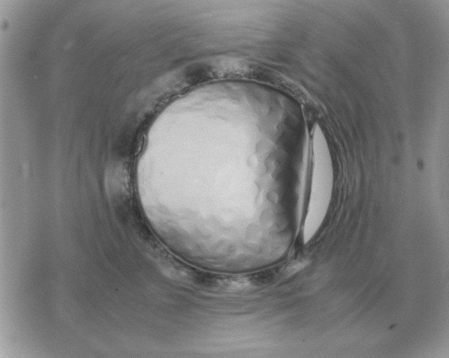 X0000070430715200606302126