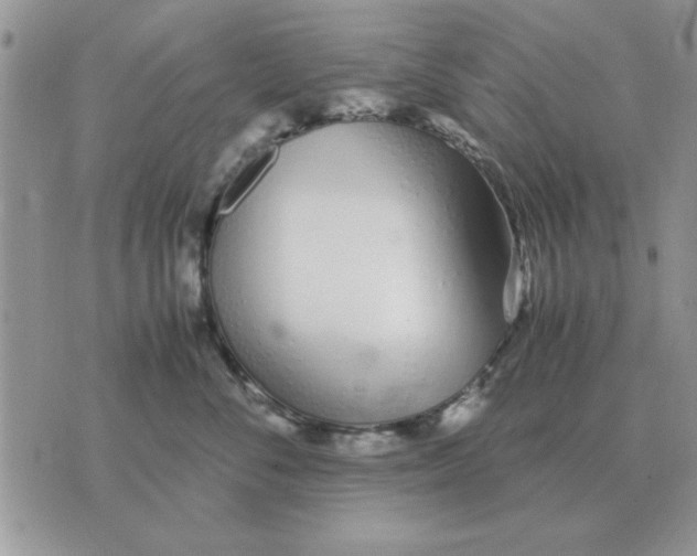 X0000070430716200606302126