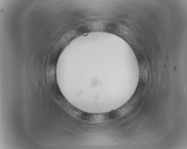 X0000070430717200606302126