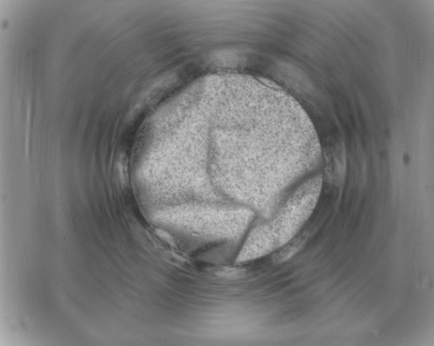 X0000070430718200606302126