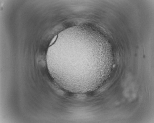 X0000070430719200606302126