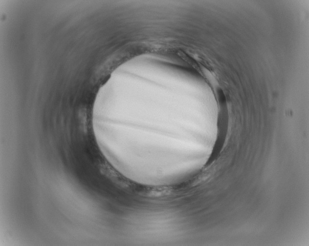 X0000070430720200606302126