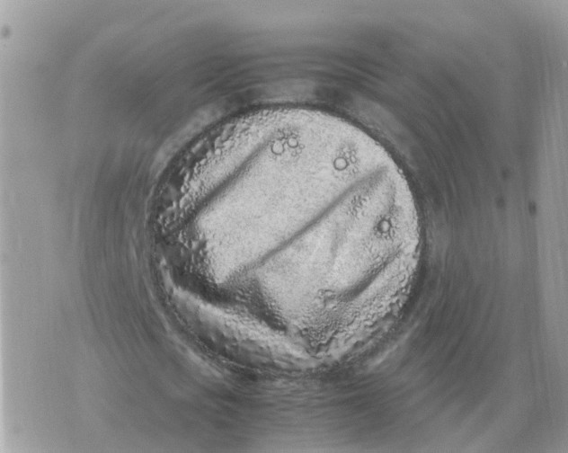 X0000070430721200606302125