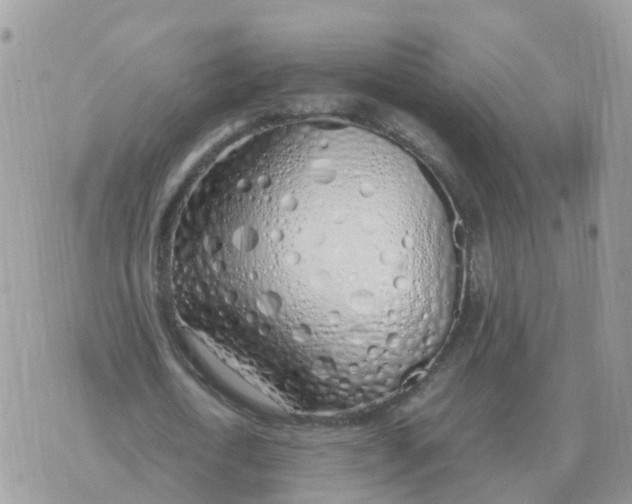 X0000070430722200606302125