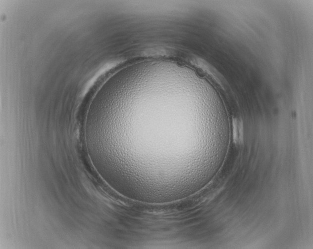 X0000070430723200606302125