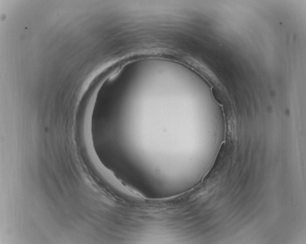 X0000070430724200606302125