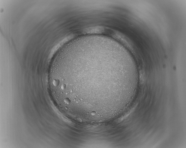 X0000070430725200606302125