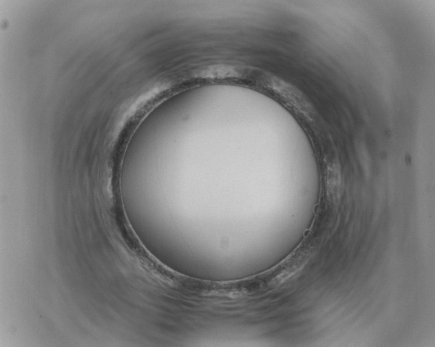 X0000070430727200606302125