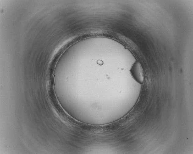 X0000070430728200606302125