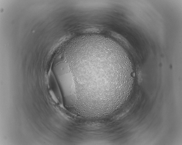 X0000070430729200606302125