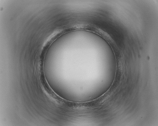 X0000070430730200606302125