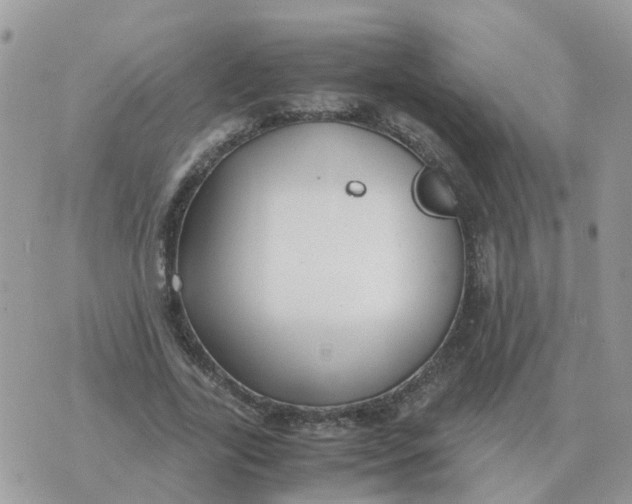 X0000070430731200606302125