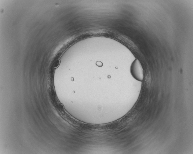 X0000070430732200606302125