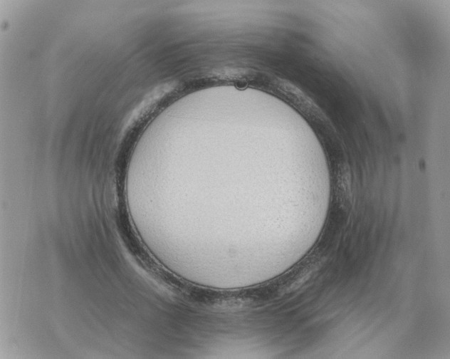 X0000070430734200606302125