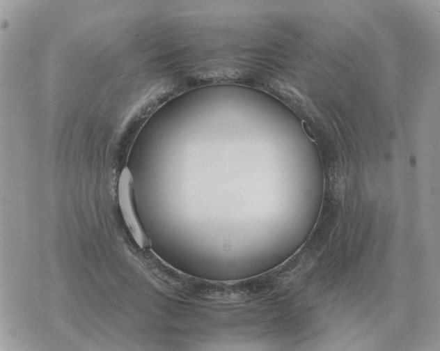 X0000070430735200606302125