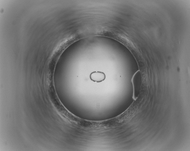 X0000070430736200606302125