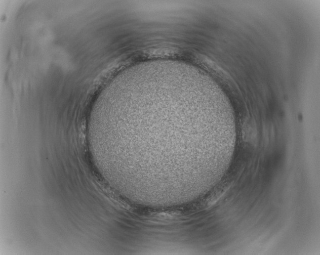 X0000070430737200606302126