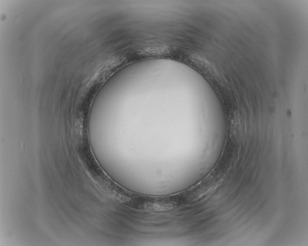 X0000070430739200606302126