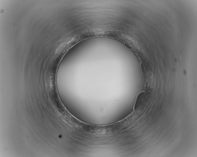 X0000070430740200606302126