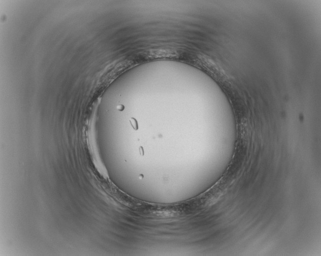 X0000070430741200606302126