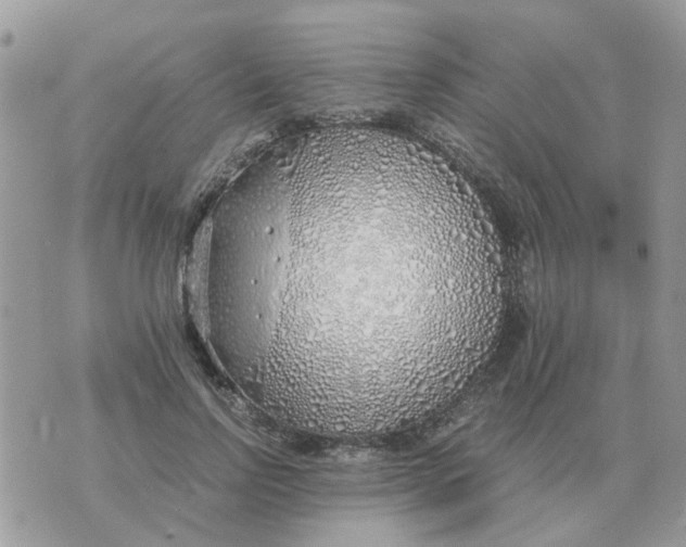 X0000070430742200606302126