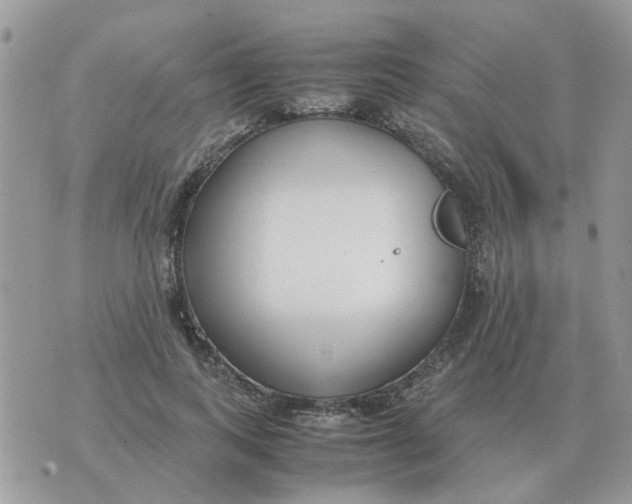 X0000070430743200606302126