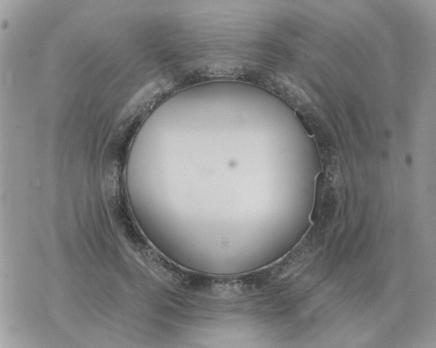 X0000070430744200606302126