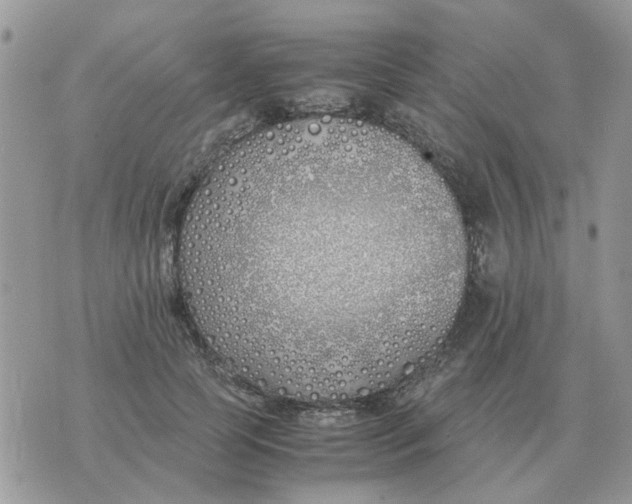 X0000070430745200606302126