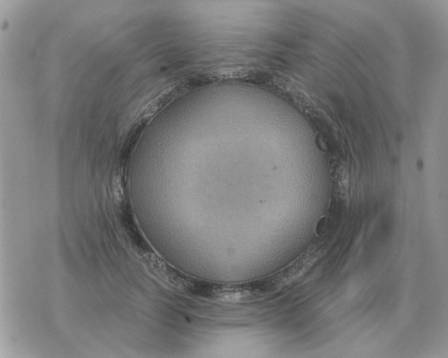 X0000070430746200606302126