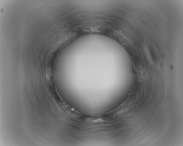 X0000070430747200606302126