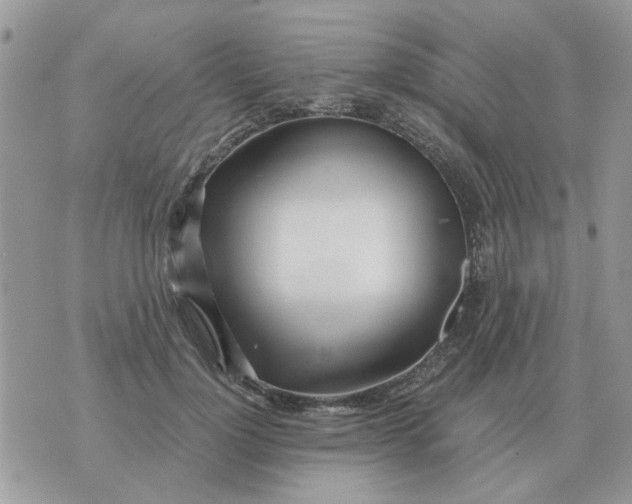 X0000070430748200606302126