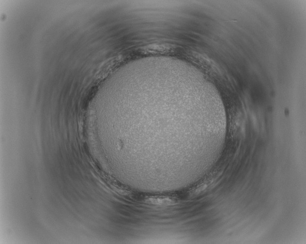 X0000070430749200606302126