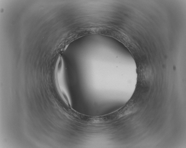 X0000070430750200606302126