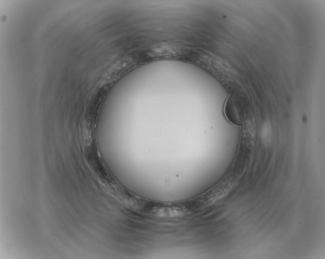 X0000070430751200606302126