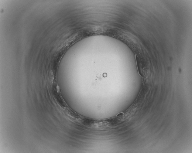 X0000070430752200606302126