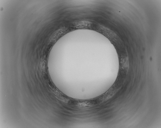 X0000070430753200606302126